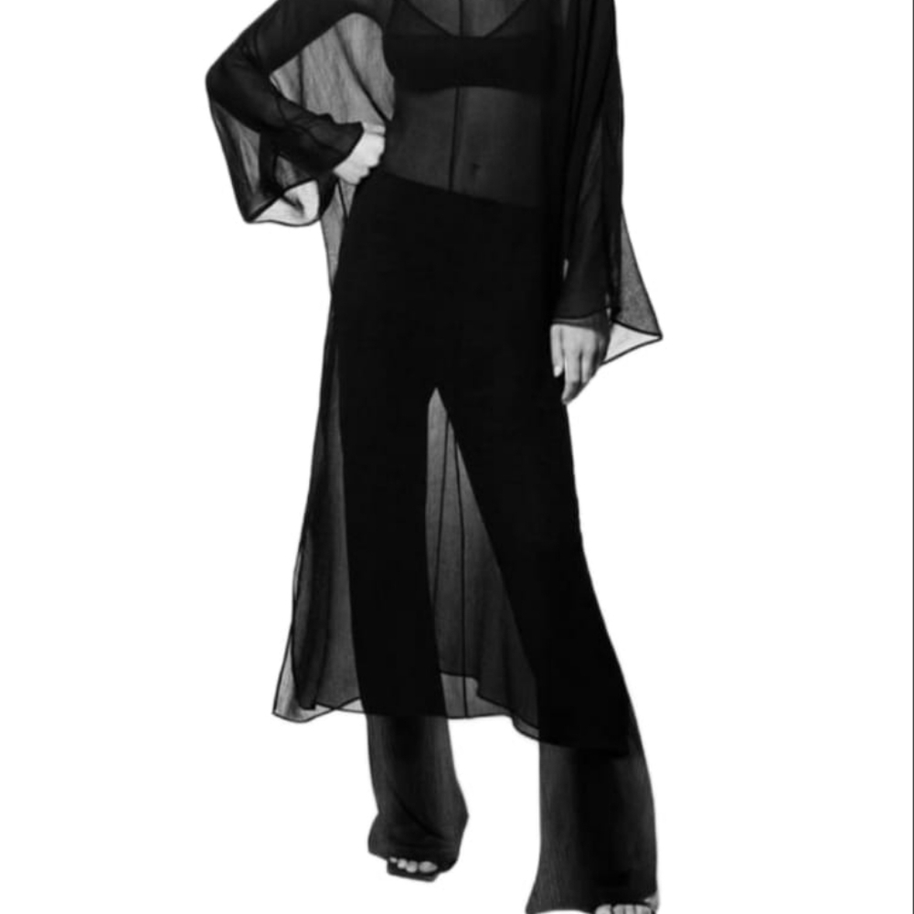 Zara Sheer Black Wide-Leg Pants with Overlay